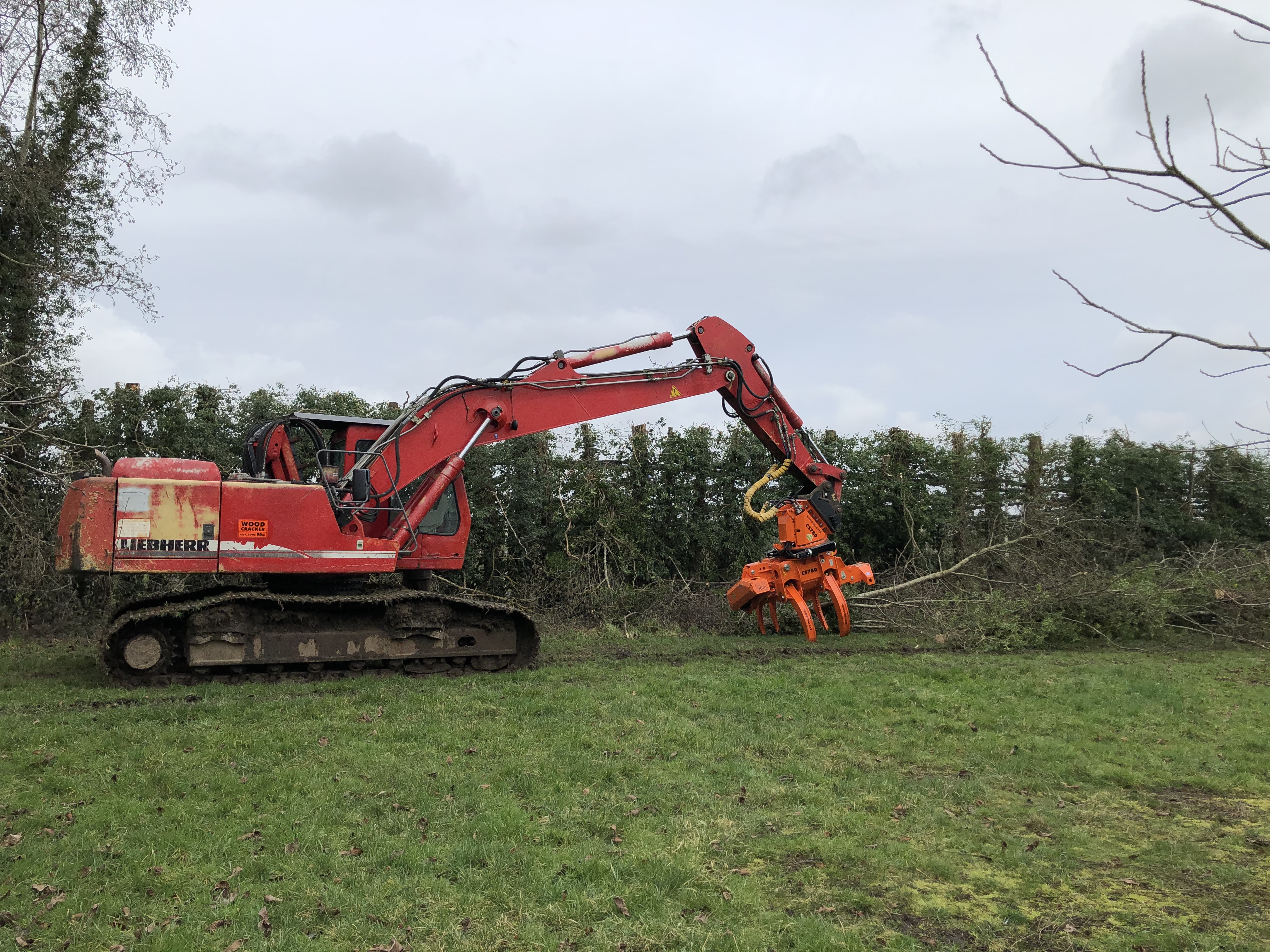 Mechanical Tree Felling