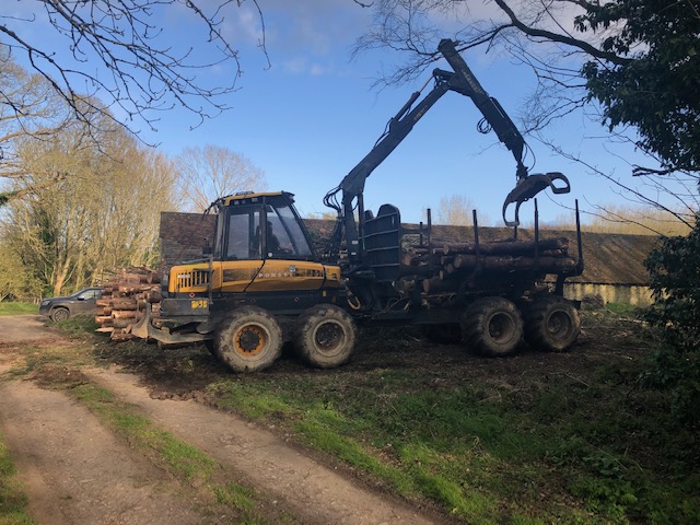 Timber Extraction