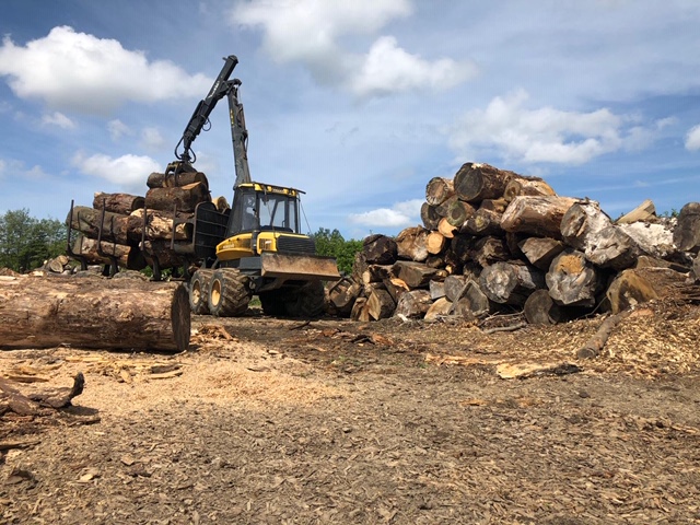 Timber Extraction